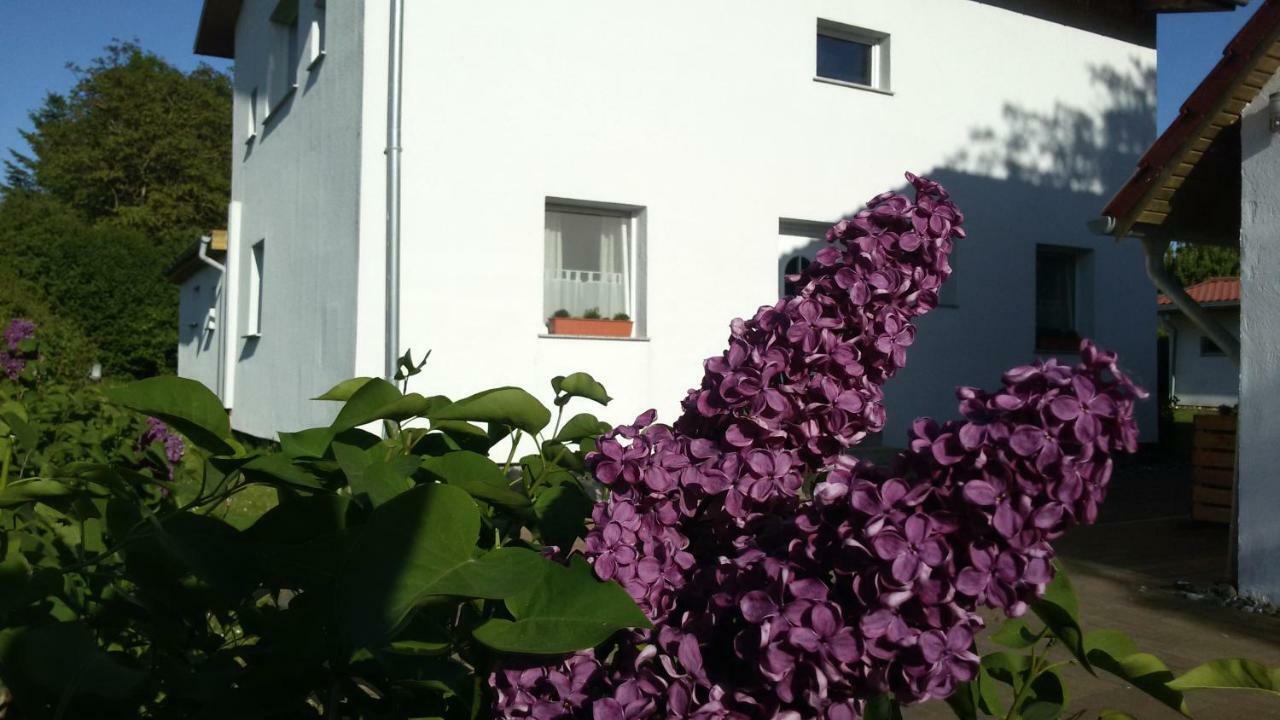 Appartamento Drifthof Glowe Esterno foto